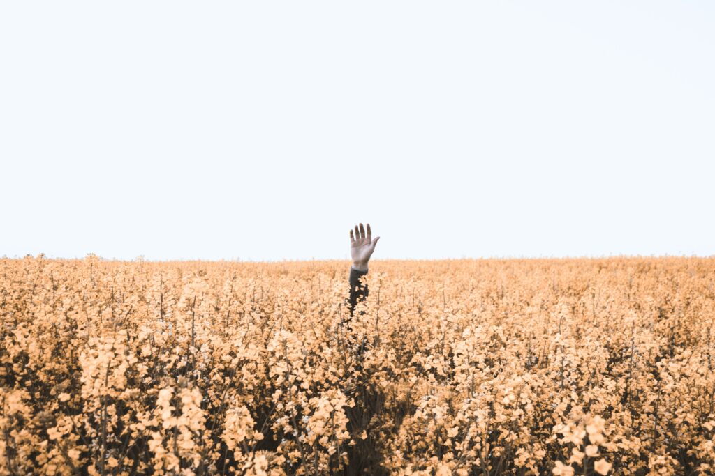 lost