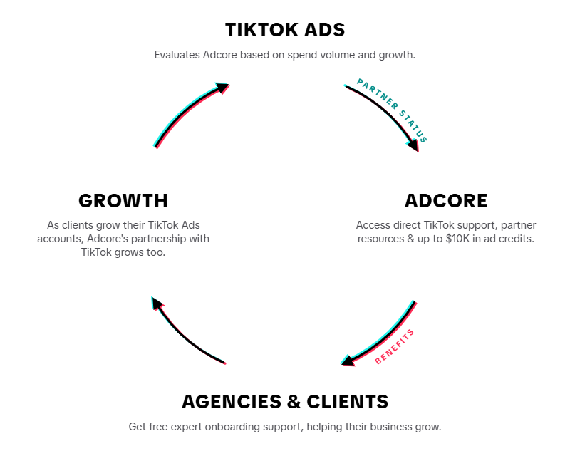 TikTok Marketing Partner Cycle
